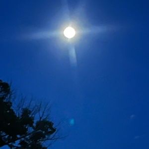 Meet your Posher, Posh